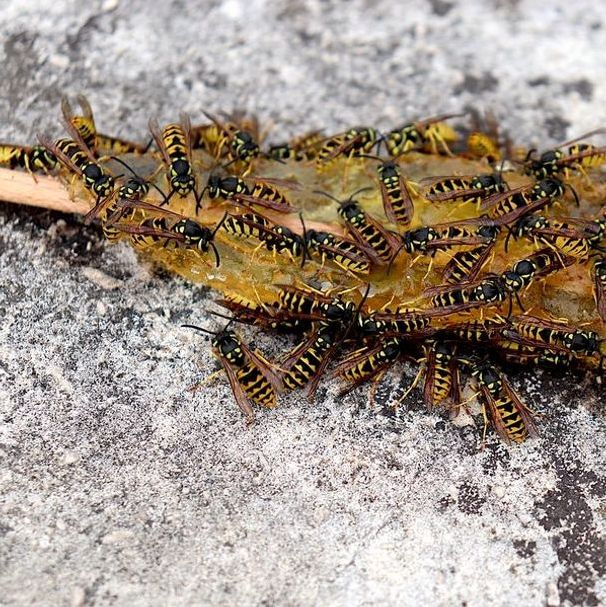 Team member portrait